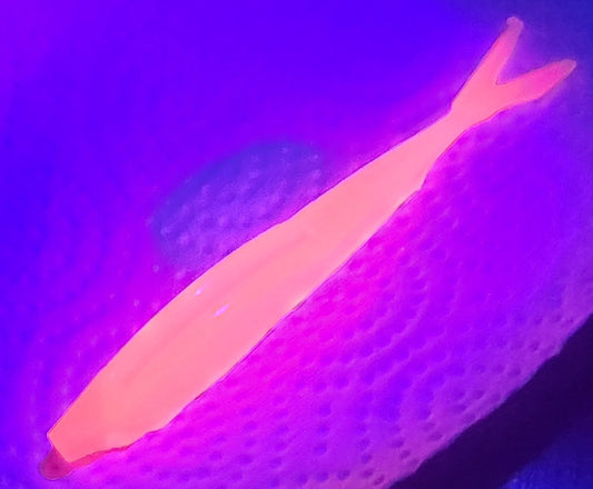Custom Hot pink UV flukes 4.5 inch